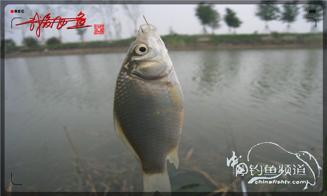 马踏湖国家湿地公园远足,马踏湖国家湿地公园游览路线