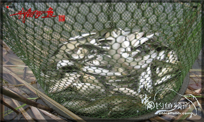 马踏湖国家湿地公园远足,马踏湖国家湿地公园游览路线