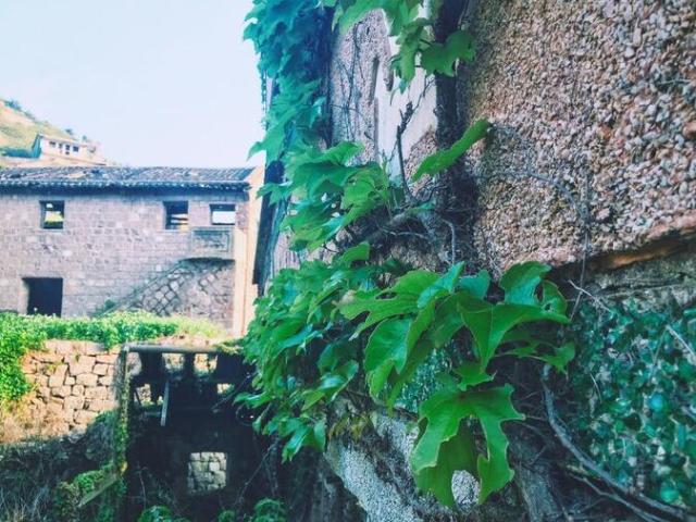 枸杞岛游记,枸杞岛两天一夜最全旅游攻略