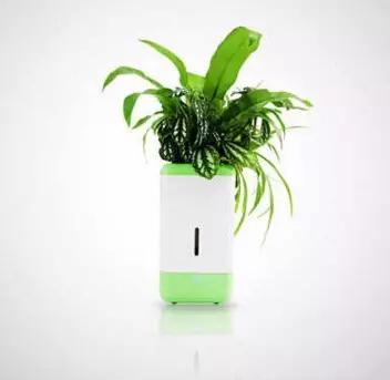 平价好用的十个小家电,如何选择性价比高的小家电