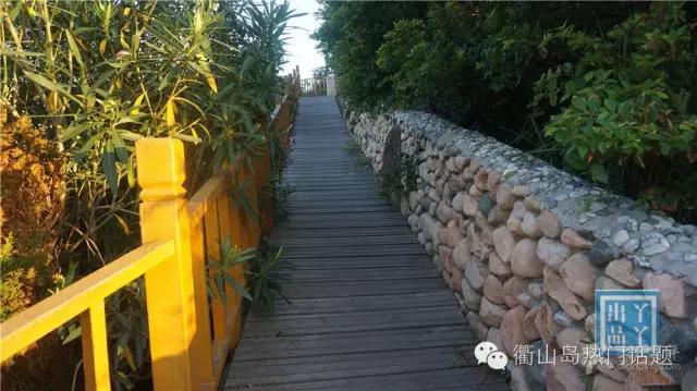 世界那么大我只想去衢山岛看看!