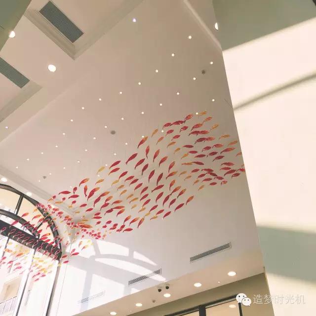 海洋主题酒店攻略,长隆海洋王国马戏酒店自助餐