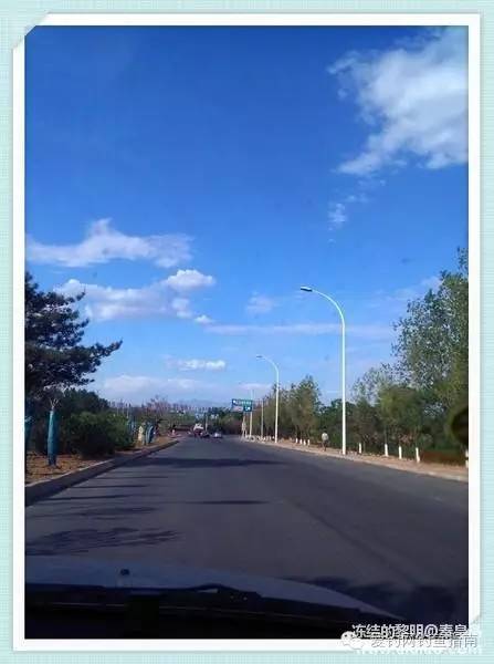 周日垂钓,洋河钓鲫鱼