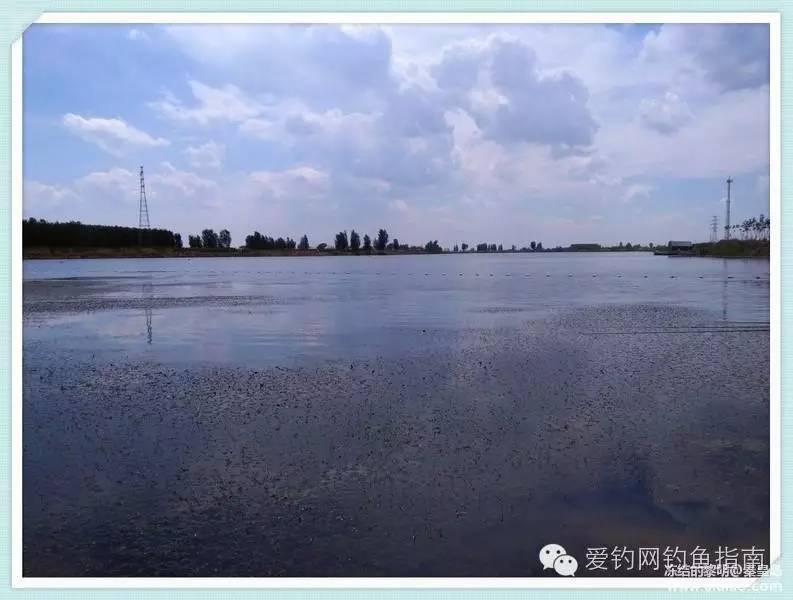 周日垂钓,洋河钓鲫鱼