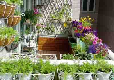 阳台花园水景微景观打造,阳台微景观