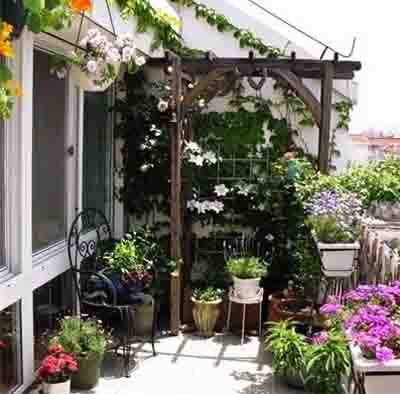 阳台花园水景微景观打造,阳台微景观