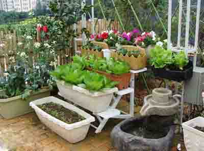 阳台花园水景微景观打造,阳台微景观