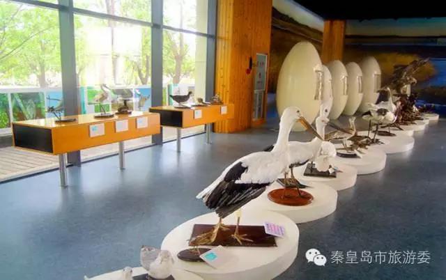 秦皇岛城市休闲风情游攻略，带你玩点不一样的！（附精品路线推荐