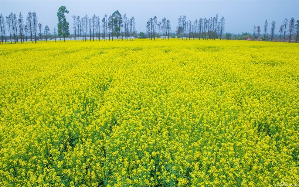 你为什么想留在珠海,你为什么选择来珠海