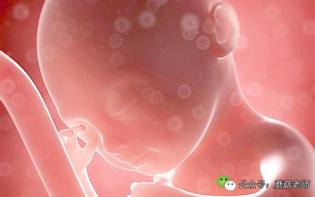 剖腹产医生用钳子钳到宝宝,剖腹产后男医生按压肚子