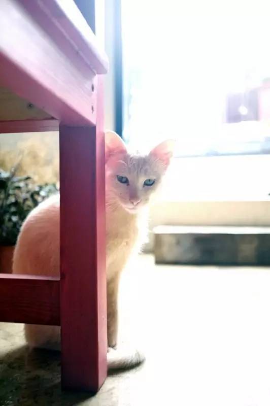 隐藏昆明安静的茶室,昆明文化巷安静的音乐酒馆