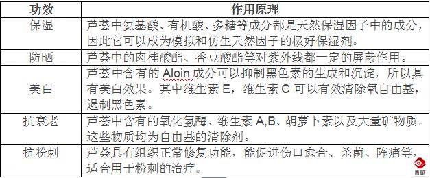 芦荟胶的成分怎么样才是好的呢,买芦荟胶主要是看什么成分