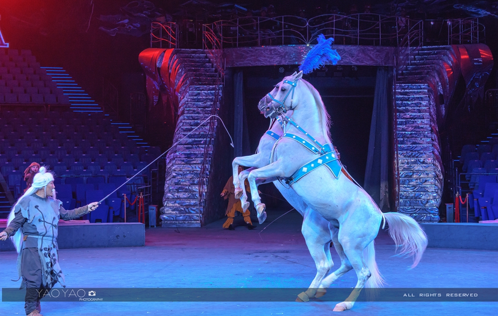 广州马戏酒店入住攻略,住马戏酒店杂技房