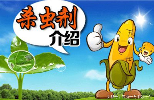 十大农药杀虫剂,灭鼠常见的五种杀虫剂