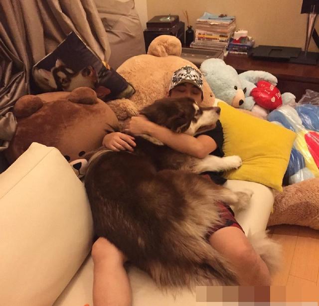 王思聪宠物狗链子,王思聪给爱犬戴项链