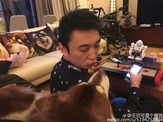 王思聪宠物狗链子,王思聪给爱犬戴项链