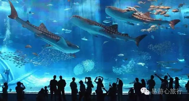 你是打算继续宅在空调房里，还是打2小时飞的去冲绳凉感一夏？