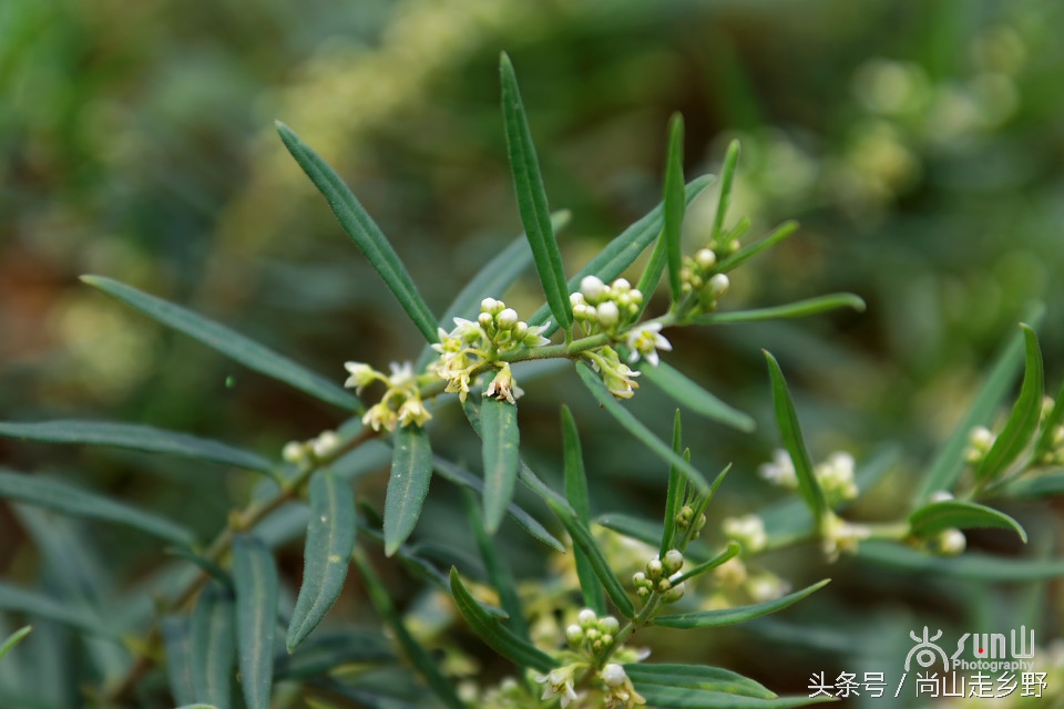 炎炎夏日山中纳凉,炎炎夏日山间小溪带来一丝清凉