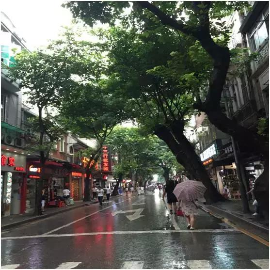 荔湾区十三行批发市场的视频,荔湾区十三行批发市场在哪里