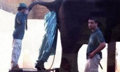 英国佬的基情我服了