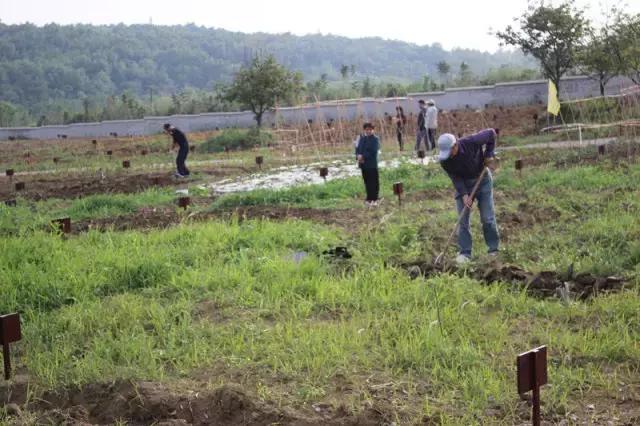 为什么淮南人喜欢当“地主”,看看地主如何管理地的!