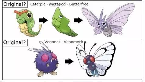 杰尼龟的收服方法,杰尼龟捕捉动画