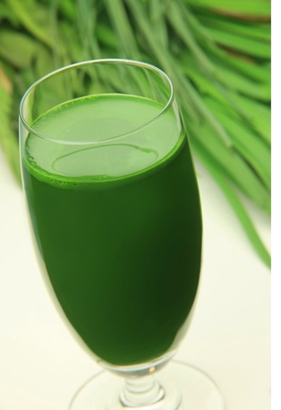 青汁减肥吗,青汁的作用