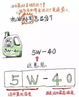 不懂没事!说这三句话去保养车,够装了!