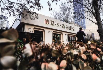 极草是什么,极草多少钱一箱