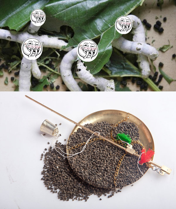 这些垃圾食品你吃过吗,这些臭臭的美食你吃过没