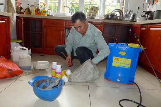 上河城白蚁成灾联名上书谁来管？春夏之际白蚁防治刻不容缓