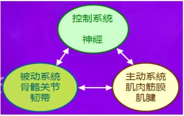 肩部撞击症,肩部撞击怎么康复