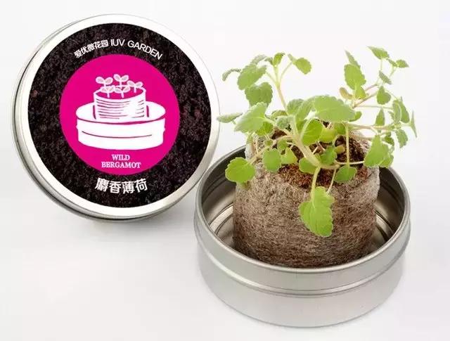 快看，征服男神女神的零差评礼物清单