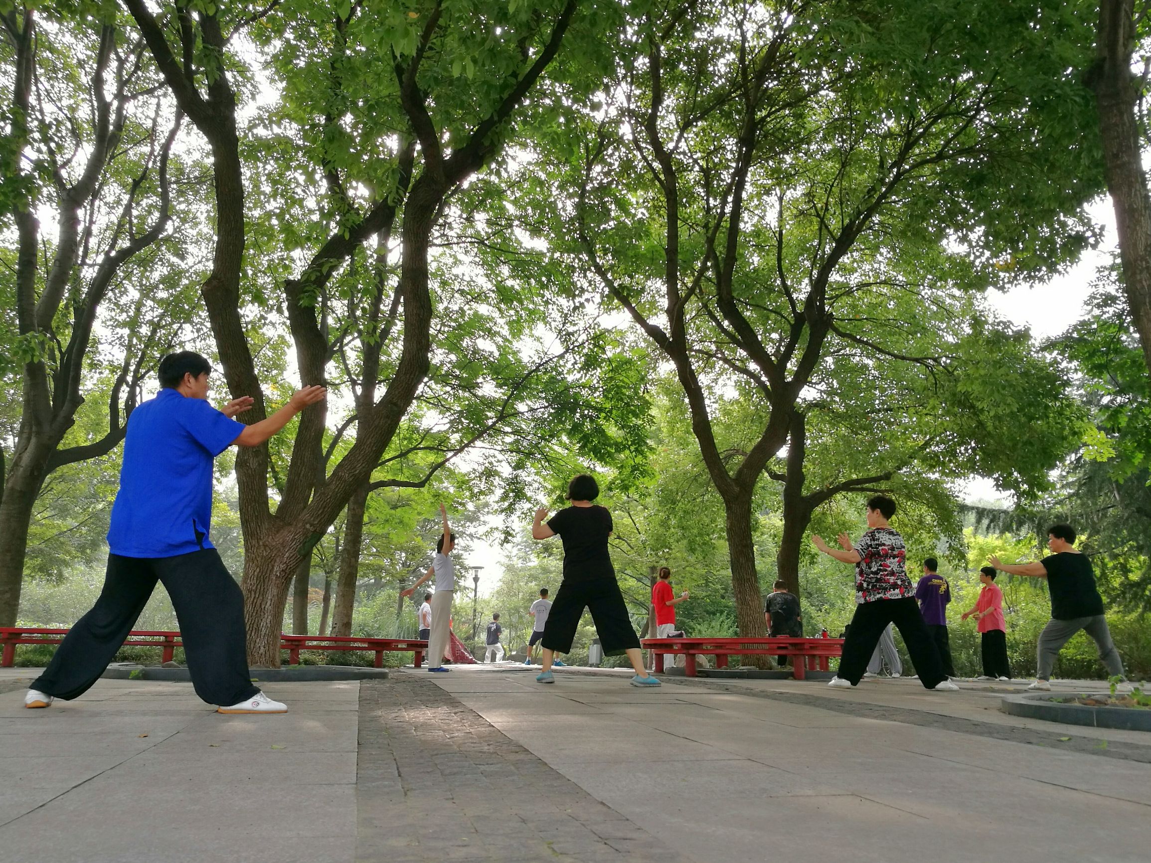 澶箹鏄犺薄涓存箹鍜岃姵婊″涵,鏄犲儚鏉惧北婀栧簵