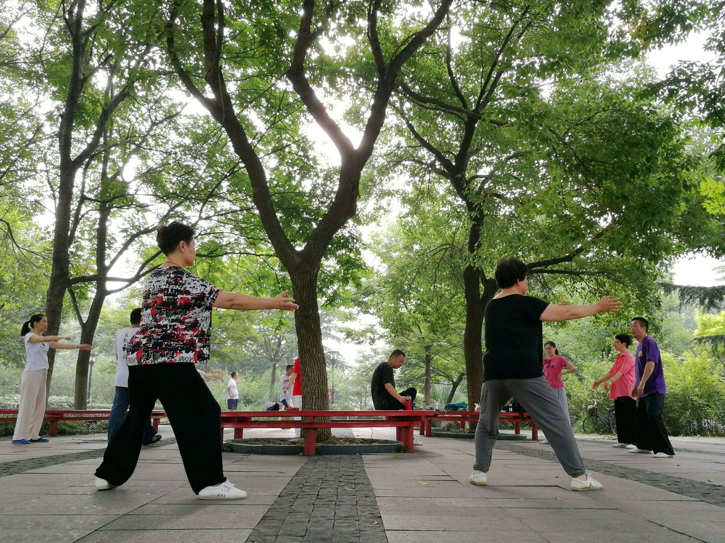 澶箹鏄犺薄涓存箹鍜岃姵婊″涵,鏄犲儚鏉惧北婀栧簵
