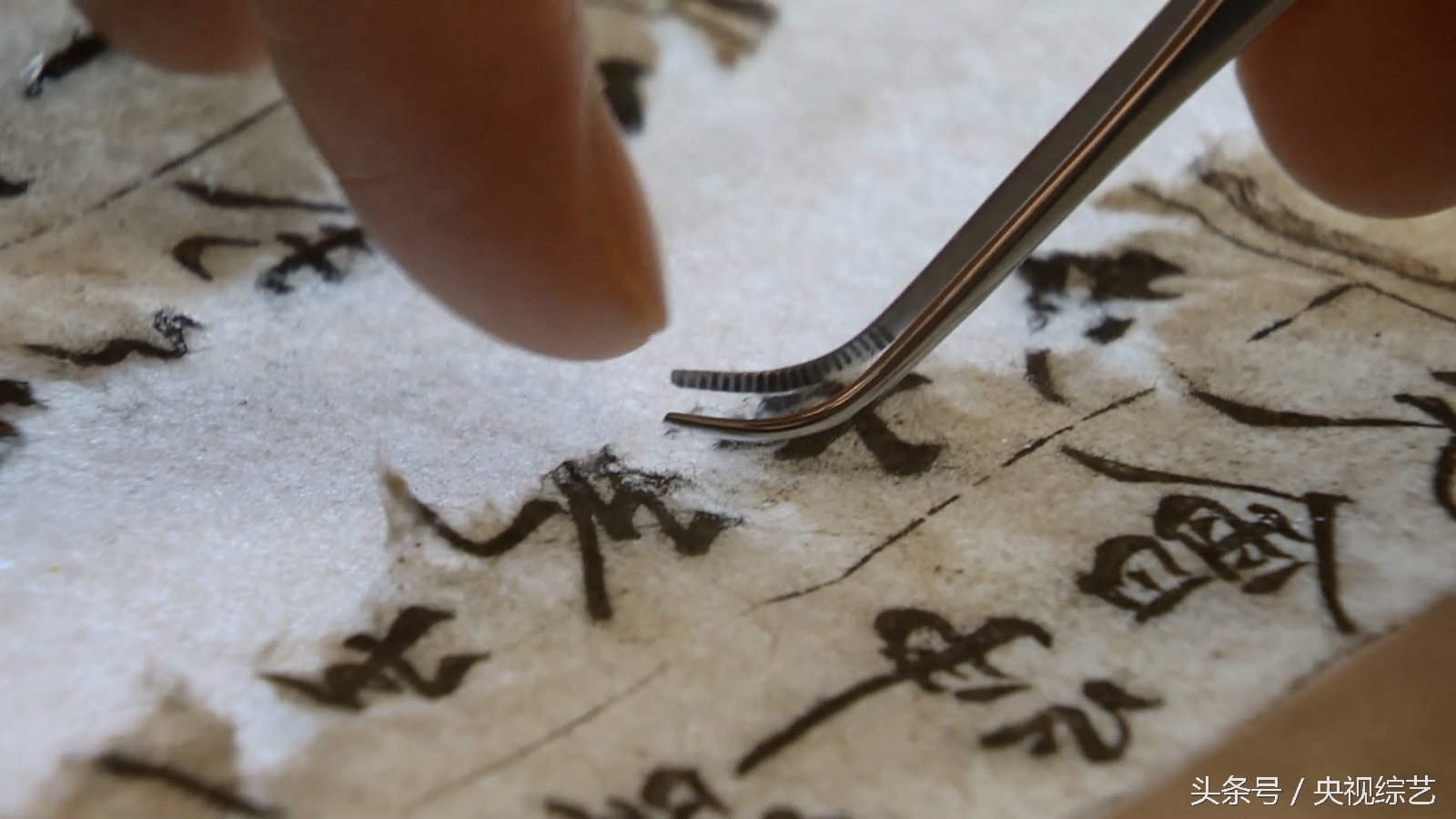 屠呦呦获诺贝尔奖意义英语,屠呦呦获诺贝尔奖是什么奖