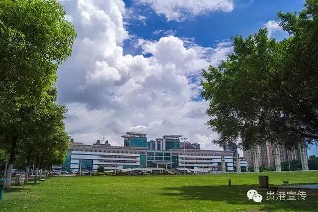 贵港的市民服务热线,贵港电视台免费热线电话