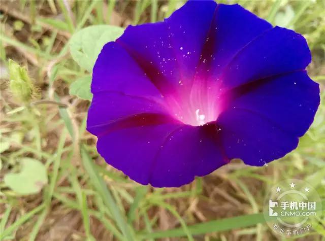 魅蓝3s是最好的一款吗,魅蓝3s100多块钱的怎么样