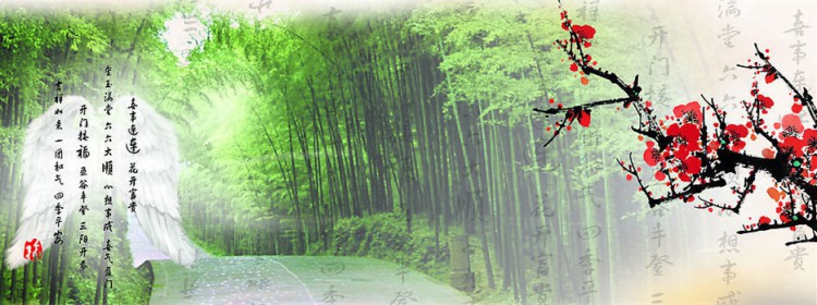 马踏湖国家湿地公园远足,马踏湖国家湿地公园游览路线