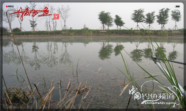 马踏湖国家湿地公园远足,马踏湖国家湿地公园游览路线