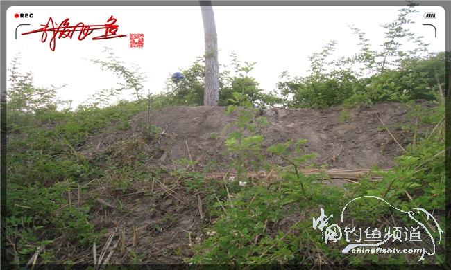 马踏湖国家湿地公园远足,马踏湖国家湿地公园游览路线