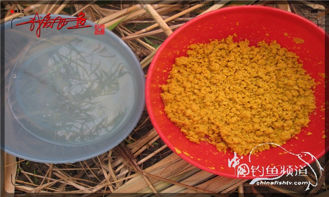 马踏湖国家湿地公园远足,马踏湖国家湿地公园游览路线