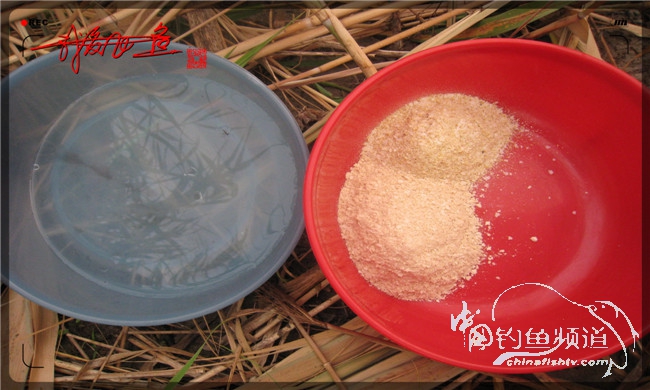 马踏湖国家湿地公园远足,马踏湖国家湿地公园游览路线