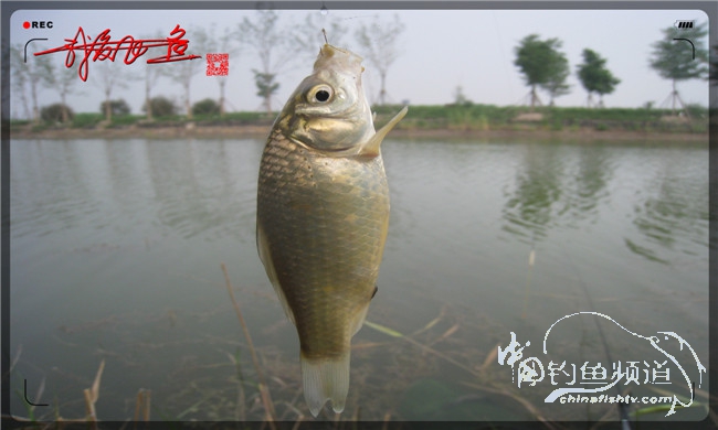 马踏湖国家湿地公园远足,马踏湖国家湿地公园游览路线