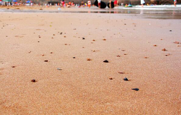 枸杞岛游记,枸杞岛两天一夜最全旅游攻略