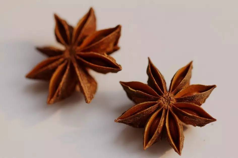 植物果实怎么分类,植物果实的分类