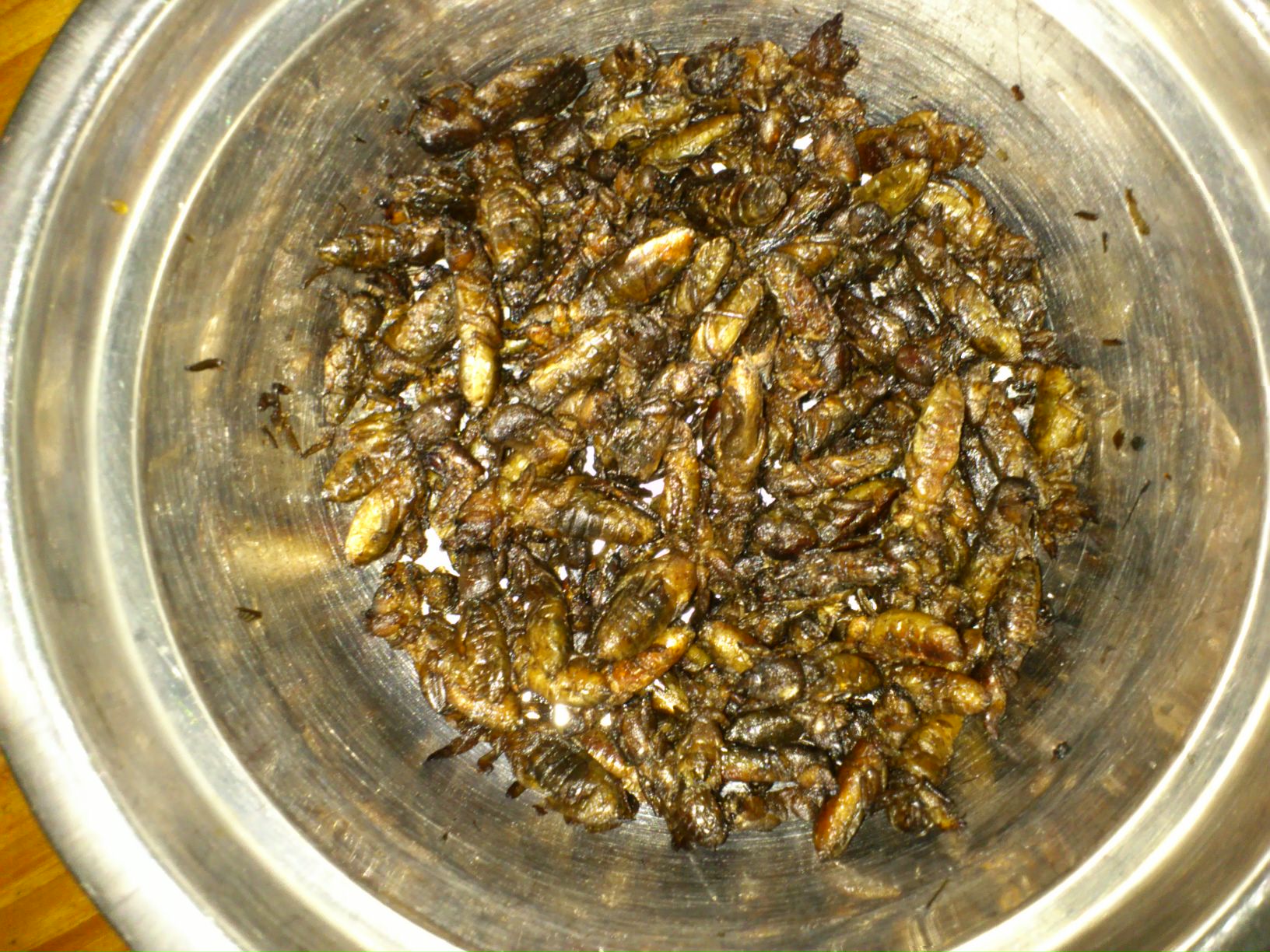 浣犺寰楀嚭鐙楃嫍鐨勫搧绉嶅悧,浣犺寰楀悧鍘熺増瑙嗛