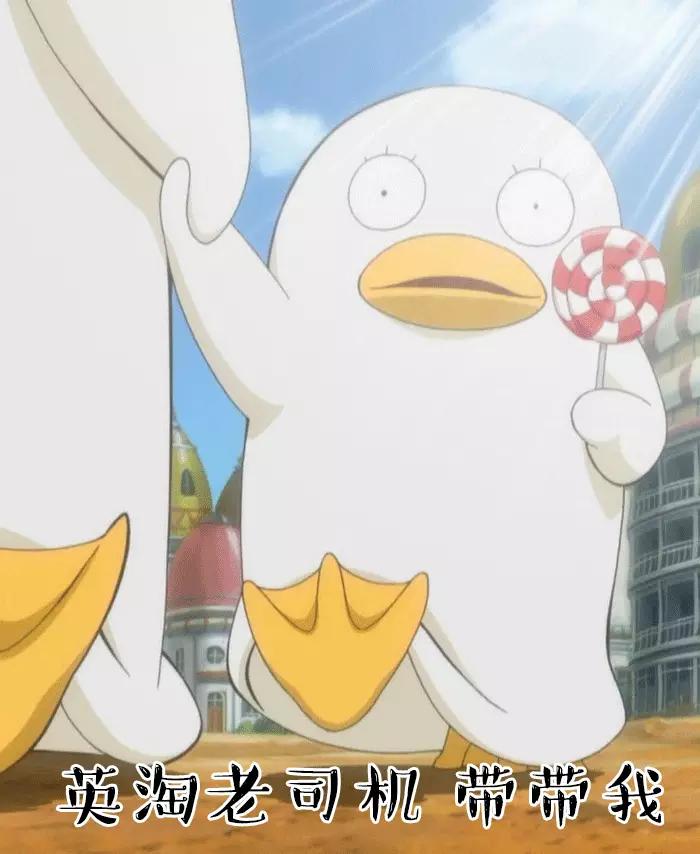 英国海淘转运靠谱吗,英国海淘攻略母婴