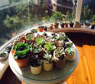 阳台花园水景微景观打造,阳台微景观