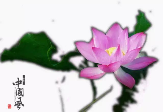 如何把荷花修图成水墨画,手机荷花后期水墨画教程